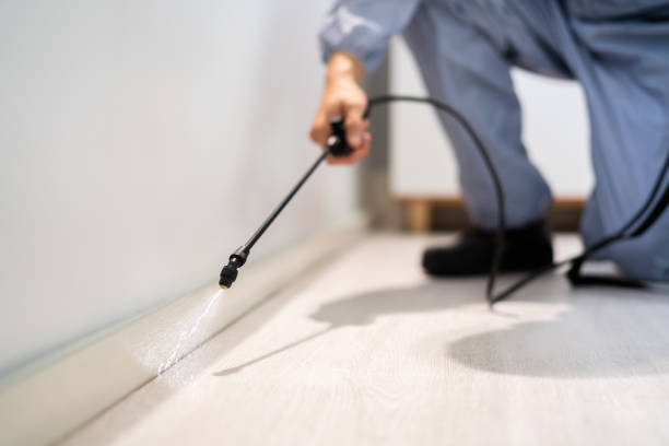 Licensed Pest Control service in Gibsonville, NC - Show Me Pest Control