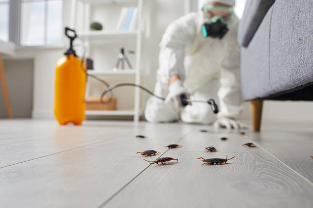 Commercial Kitchen Cockroach Control in Gibsonville